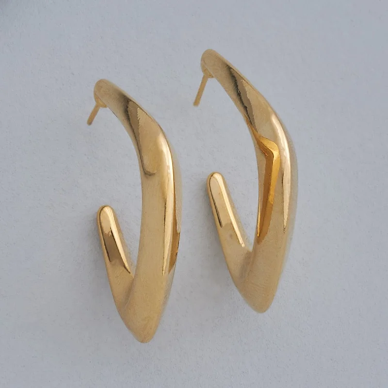 Women luxurious earrings -Trendy Earring 169209